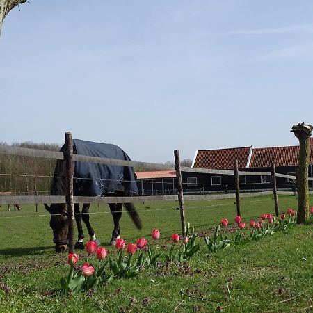 De Tulp Bed & Breakfast Noordgouwe Exterior photo