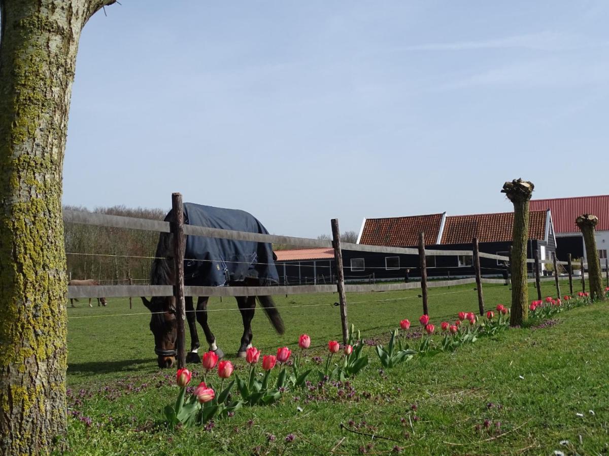 De Tulp Bed & Breakfast Noordgouwe Exterior photo