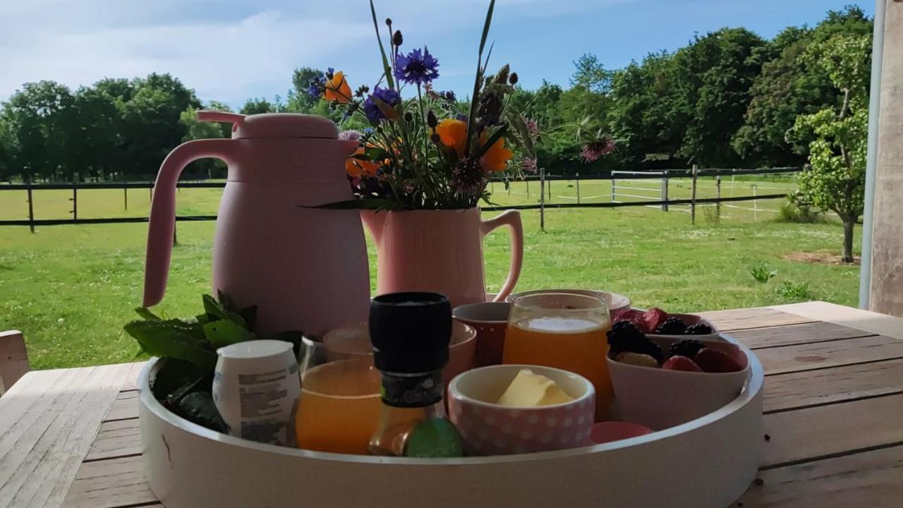 De Tulp Bed & Breakfast Noordgouwe Exterior photo